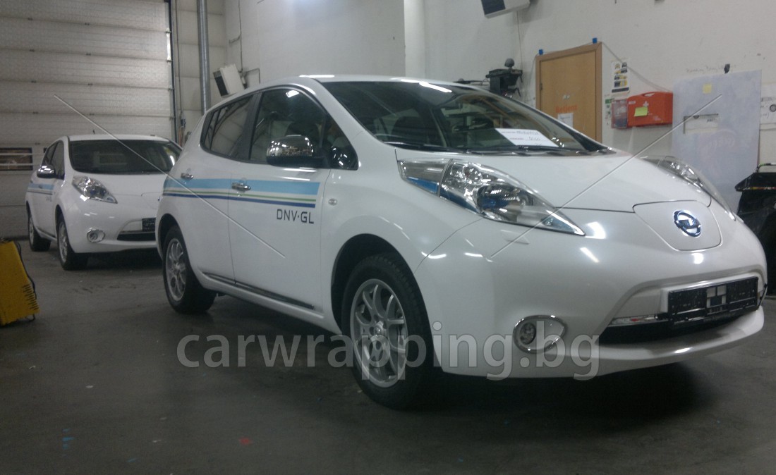 Nissan Leaf - 1