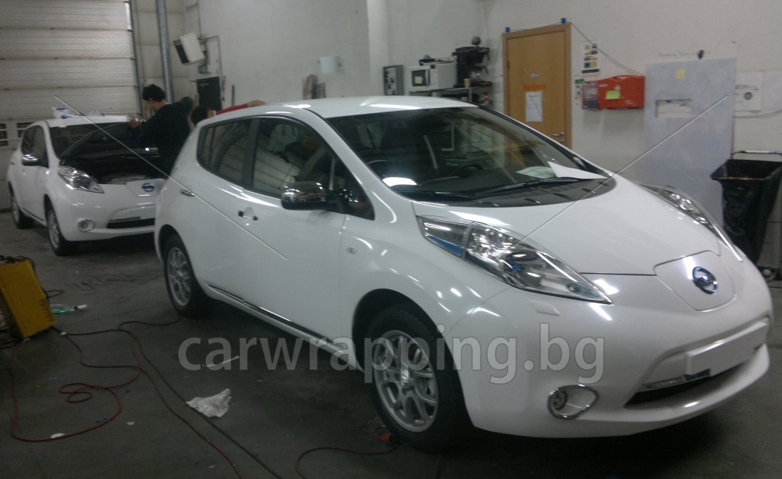 Nissan Leaf - 14