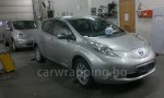 Nissan Leaf - 2