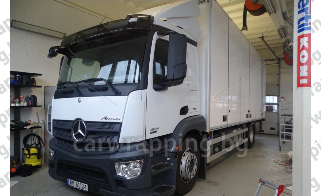 Mercedes Antos - Postnord - 2